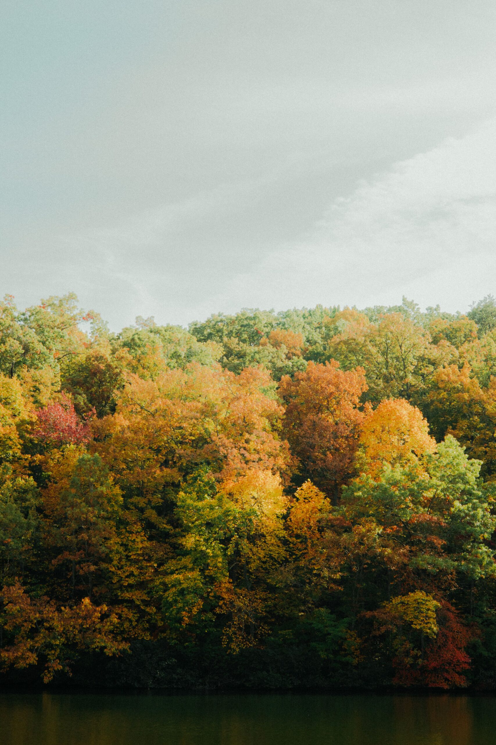 Lakeside fall foliage near Mt. Juliet TN